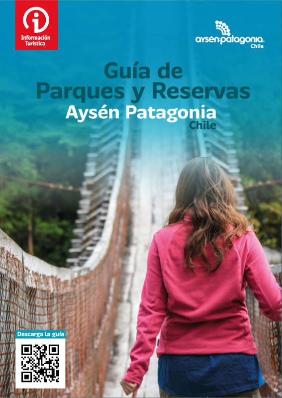 Aysen Patagonia Store - [🖨] No encuentras cartuchos de tinta